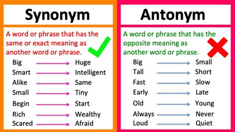 synonyms of back.